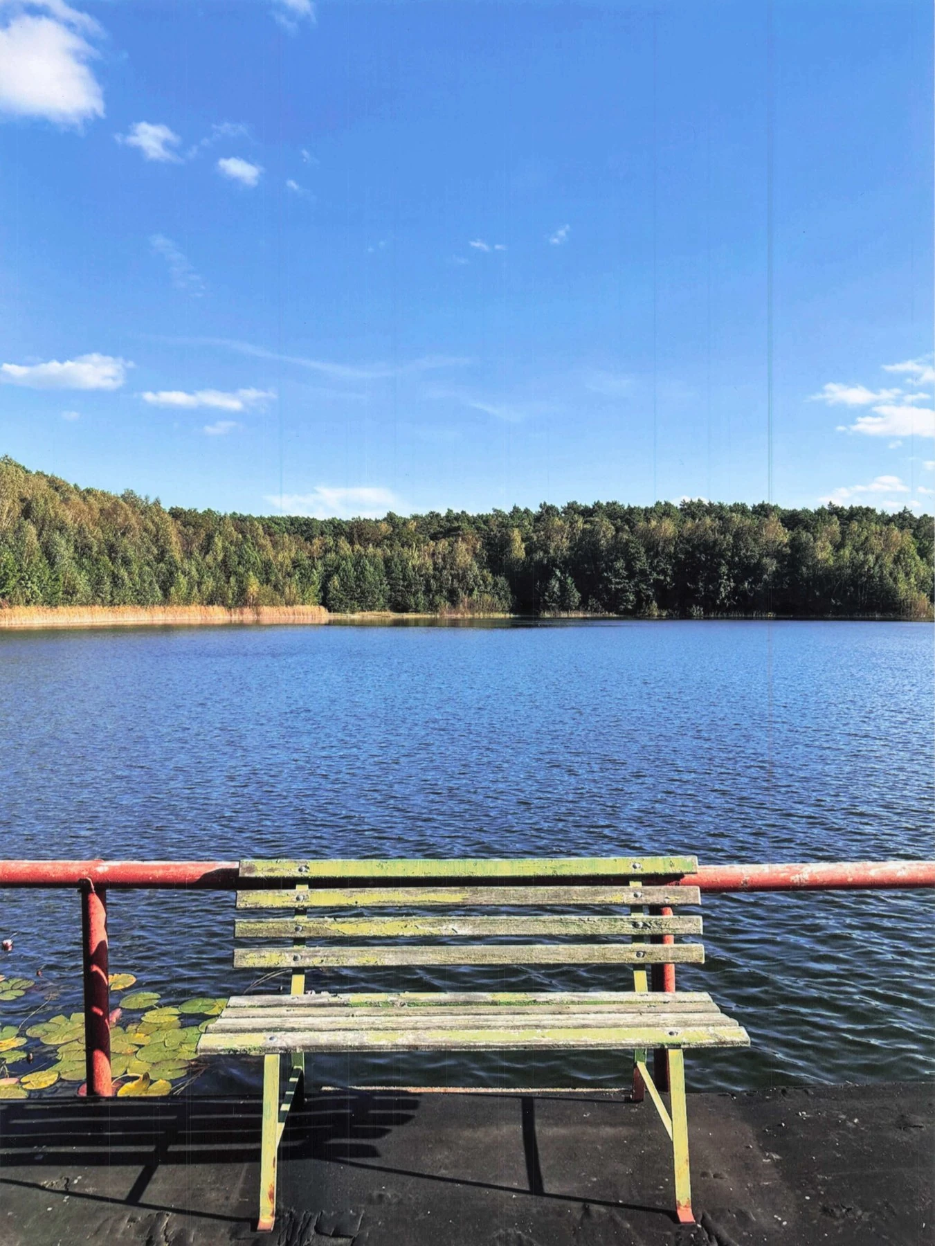 Verwitterte Holzbank auf einem Steg mit rotem Geländer, Blick über den Deulowitzer See bei blauem Himmel