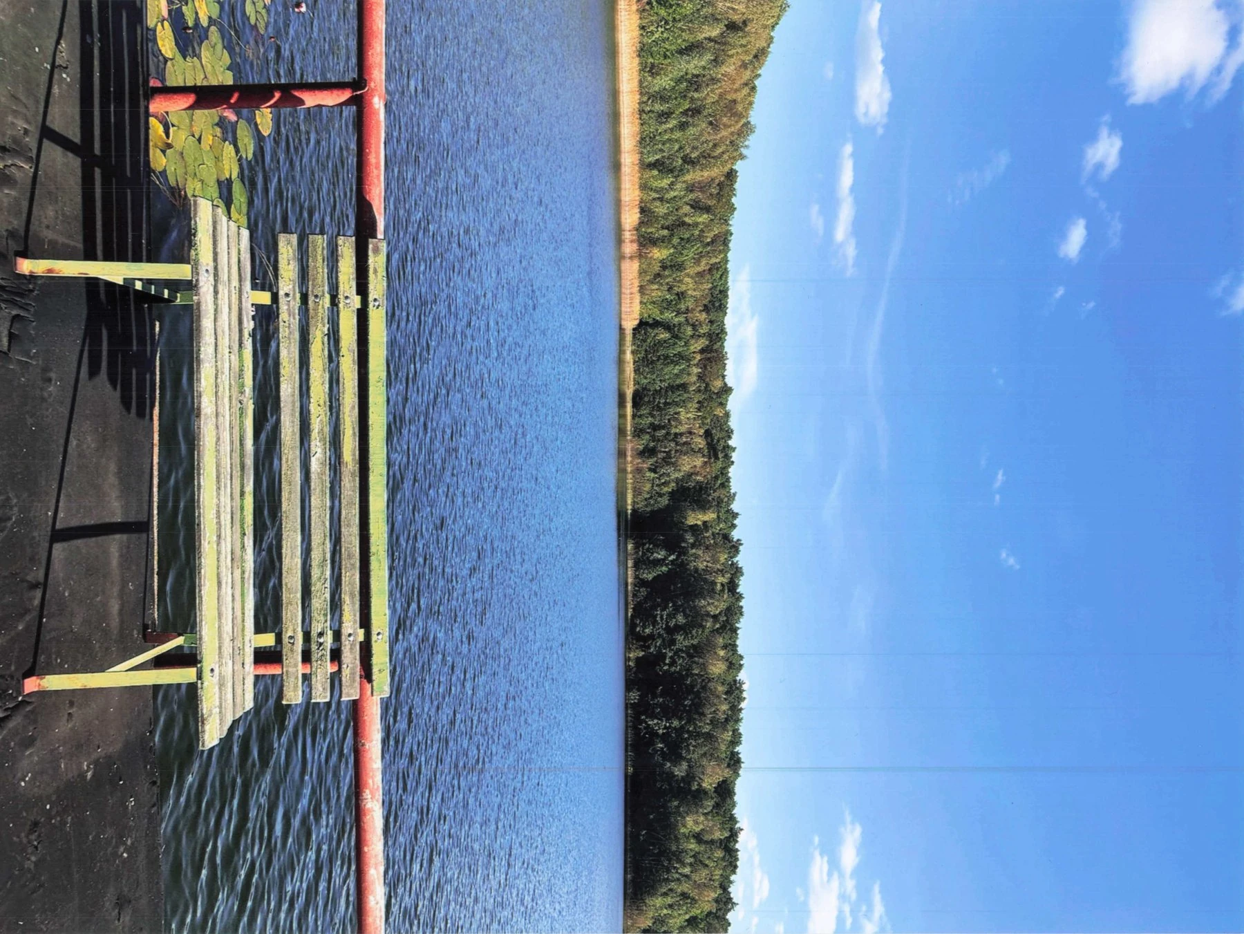 Hölzerner Steg mit rotem Geländer, Blick über Seerosenblätter auf den See
