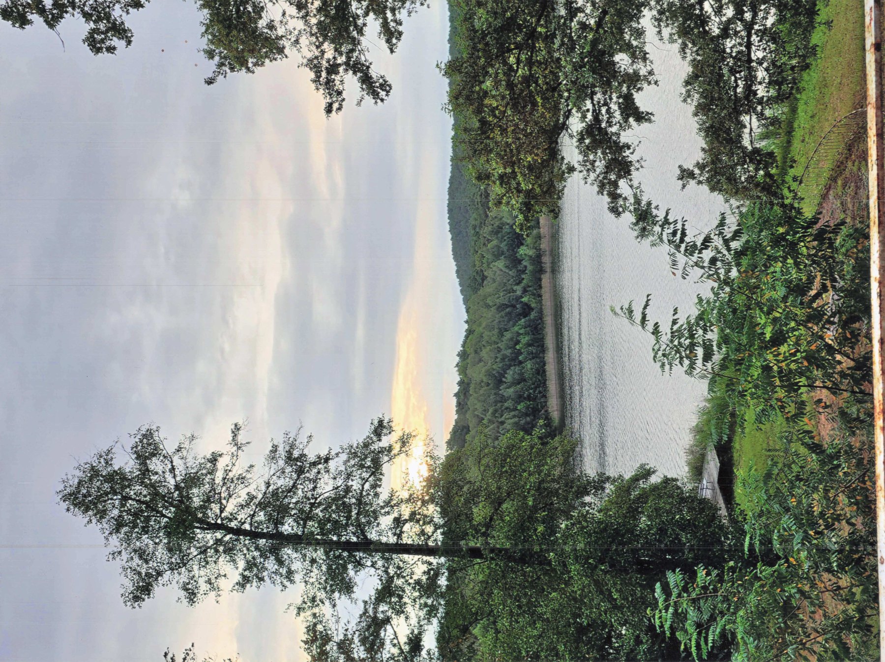 Goldener Sonnenuntergang über dem Deulowitzer See, Bäume rahmen das Bild